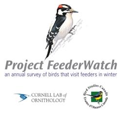 Project Feeder Watch